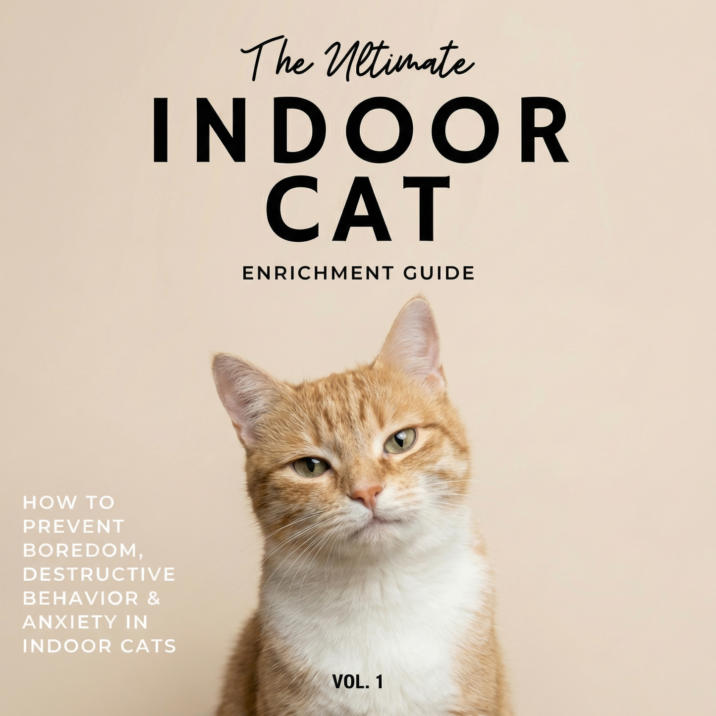 The Ultimate Indoor Cat Enrichment Guide Vol. 1