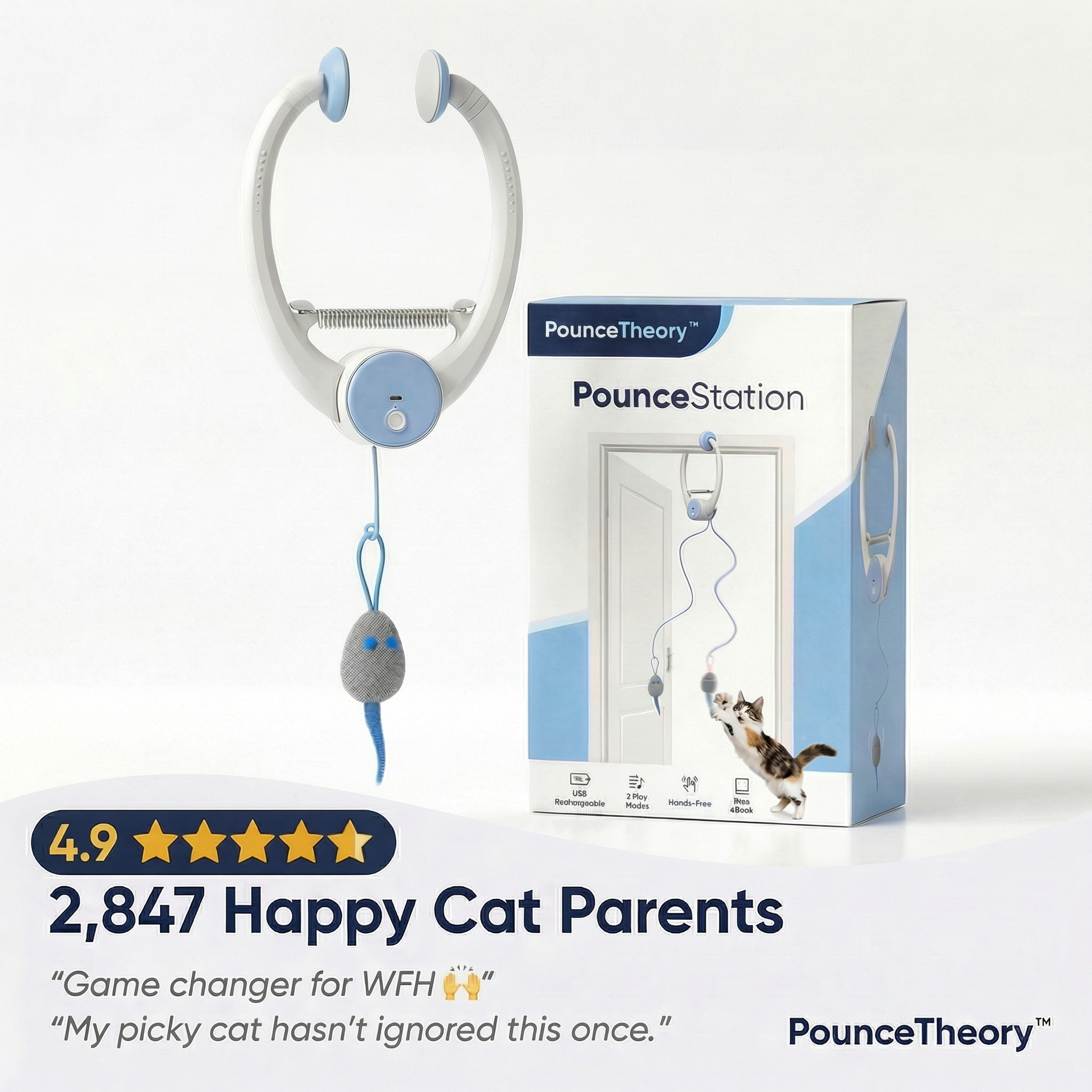 PounceTheory™ PounceStation