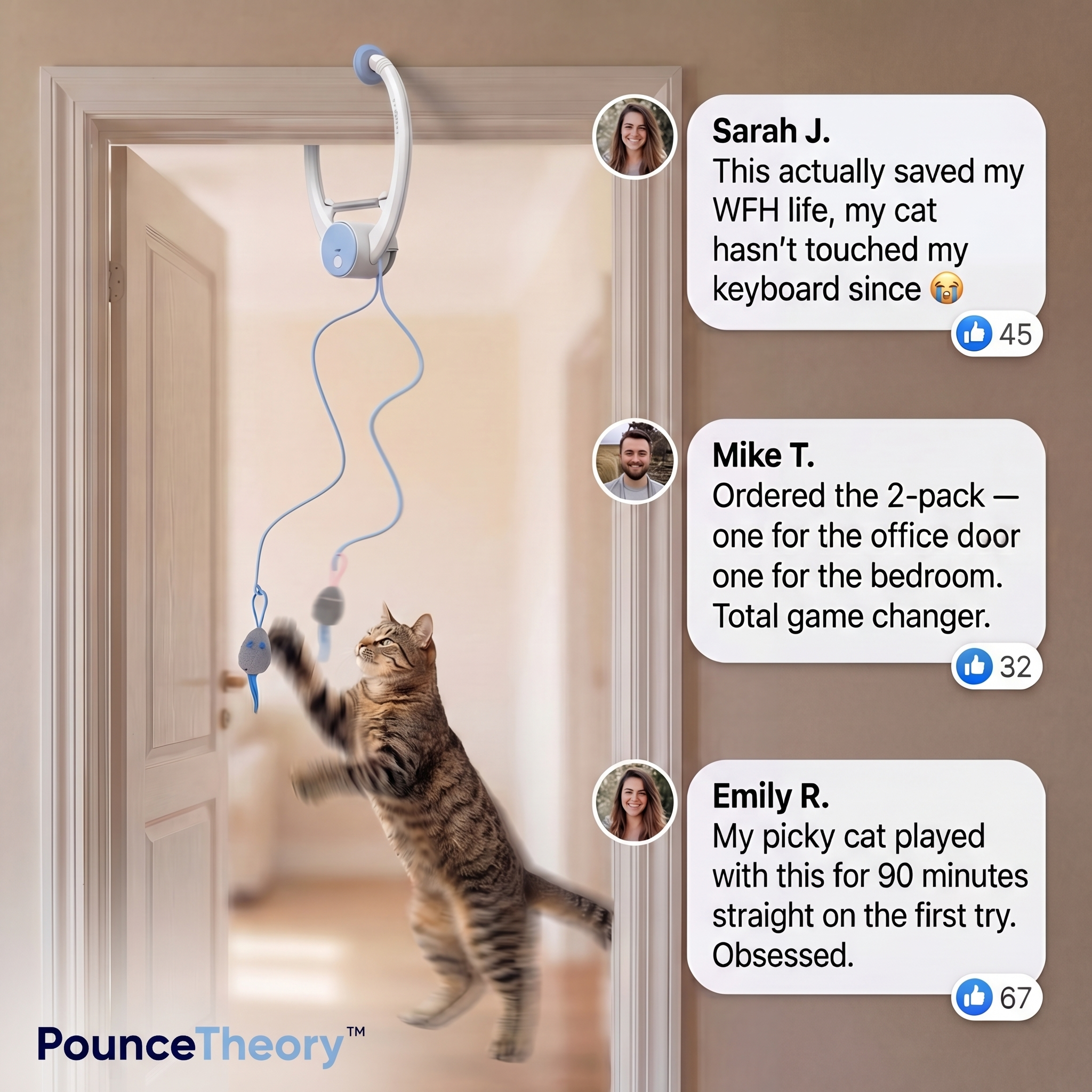 PounceTheory™ PounceStation
