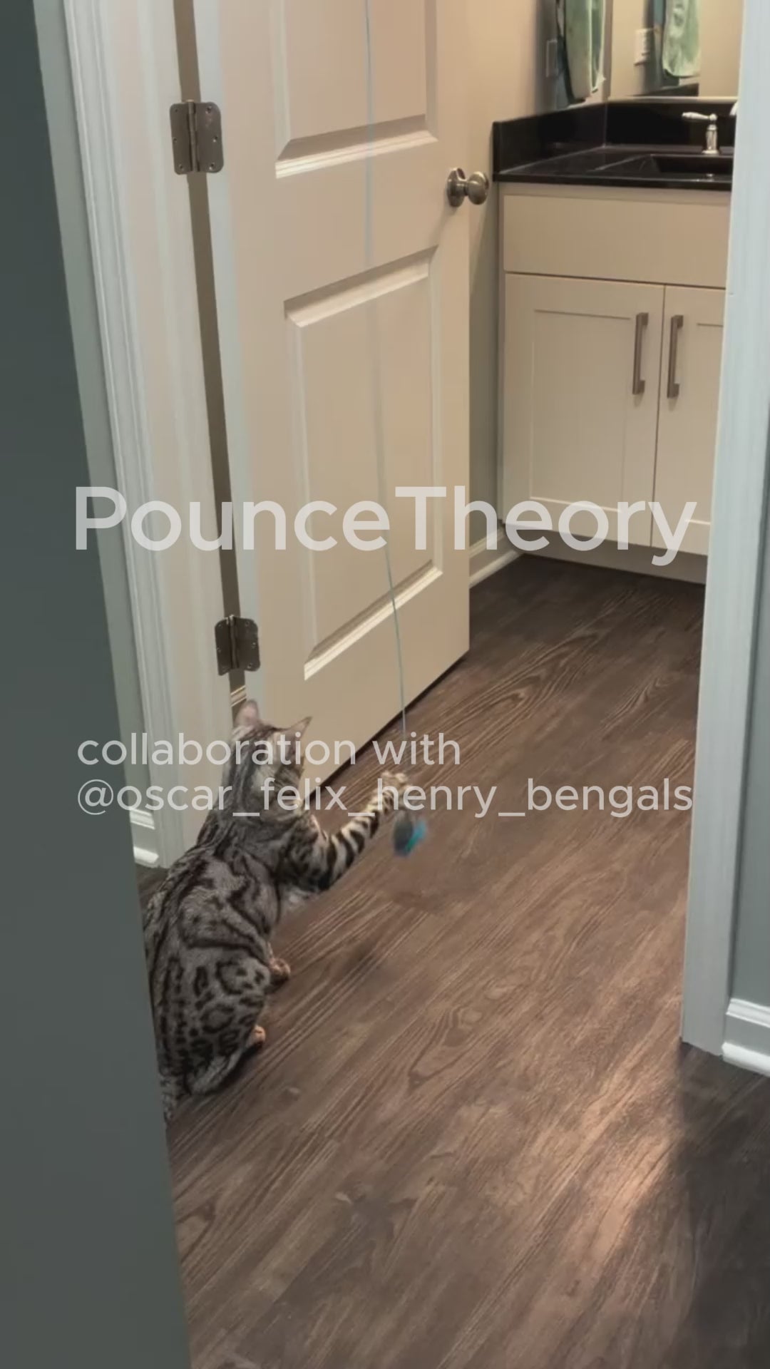 PounceTheory™ PounceStation